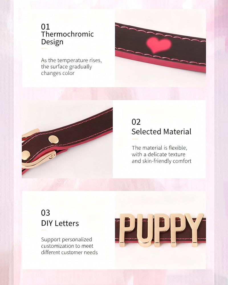 Temperature-Sensitive Color-Changing Letter Chain Leather Collars