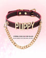 Temperature-Sensitive Color-Changing Letter Chain Leather Collars
