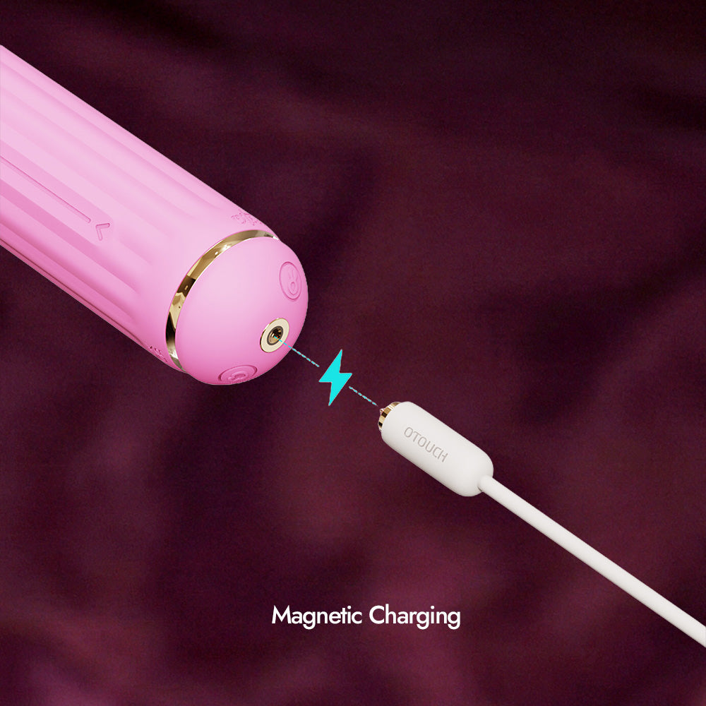 Four-Attachment Rabbit Vibrator